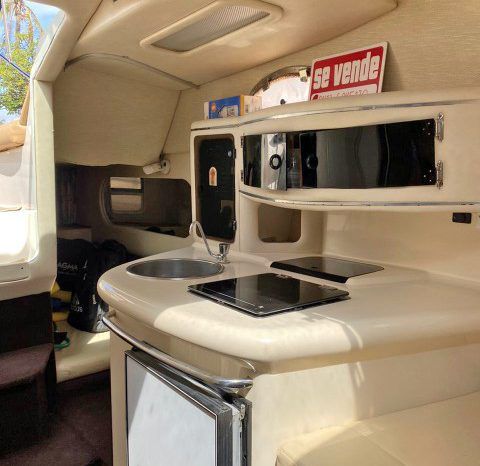 SEA RAY SUNDANCER 270 full