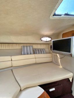SEA RAY SUNDANCER 270 full