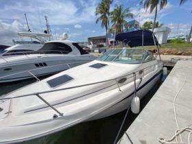 SEA RAY SUNDANCER 270