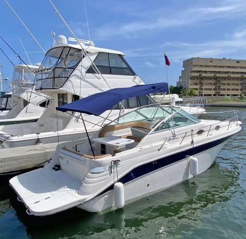 SEA RAY SUNDANCER 270 full