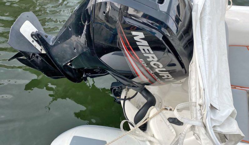 
								DINGHY CARIBE CL 14 full									