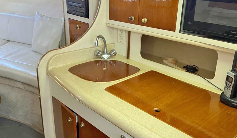 
								SEA RAY SUNDANCER 290 29 full									