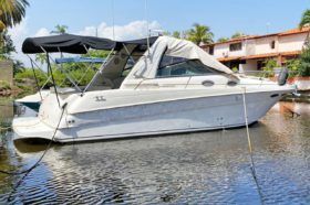 SEA RAY SUNDANCER 290 29