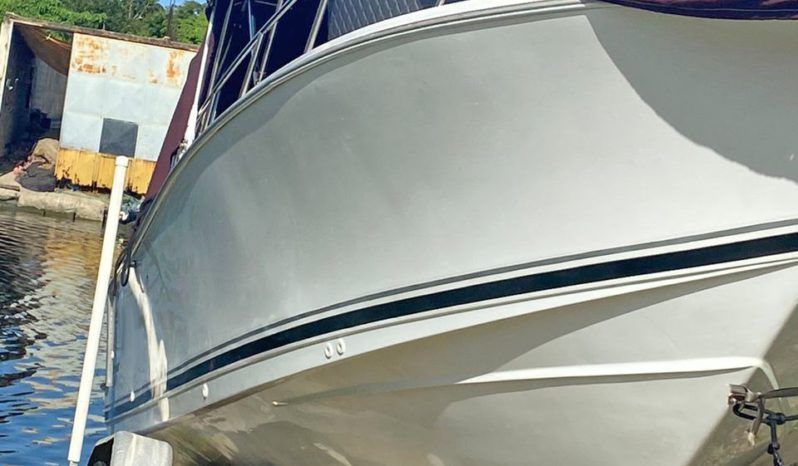 
								CORALINE OPEN 27 full									