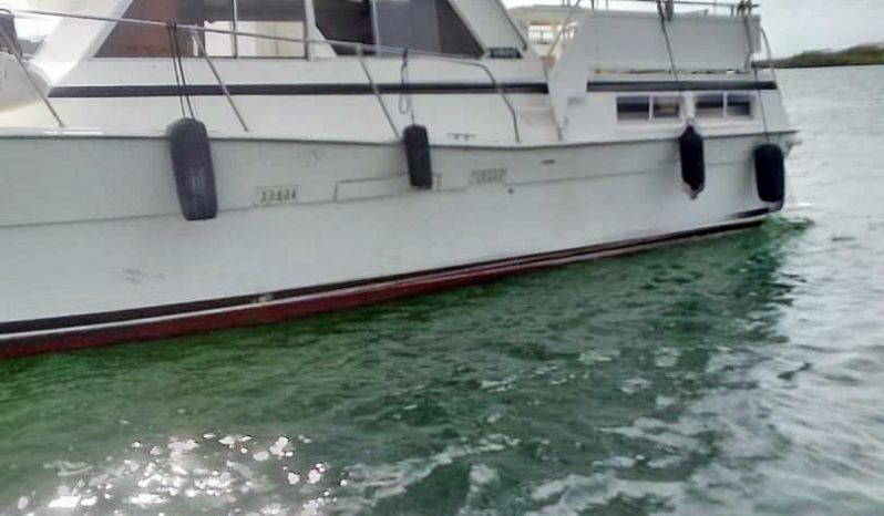 
								VIKING CABIN 43 full									