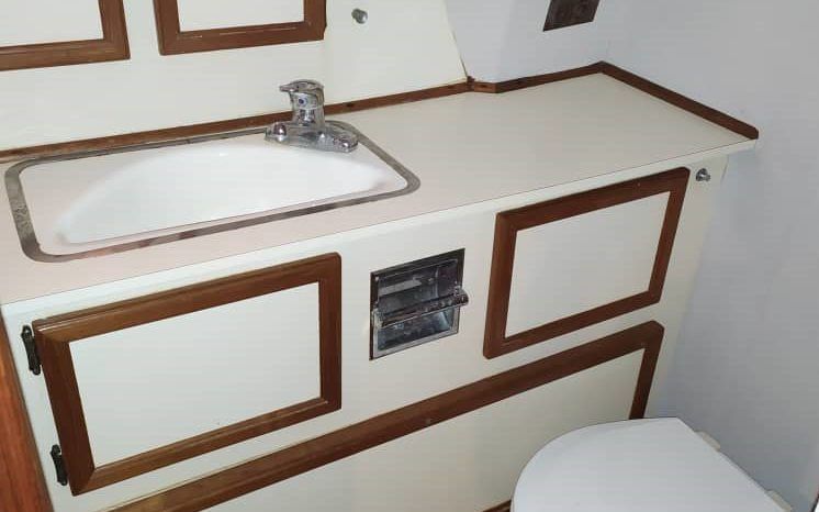 
								VIKING CABIN 43 full									