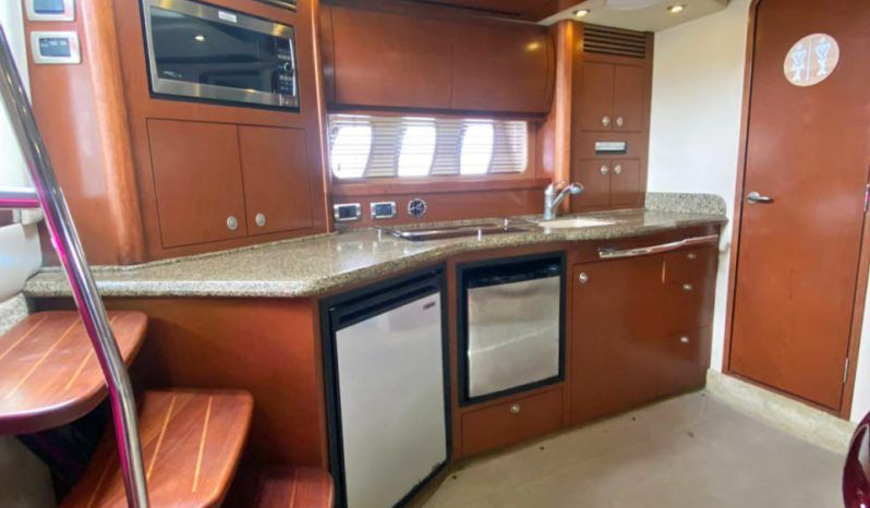 
								SEA RAY SUNDANCER 43 full									