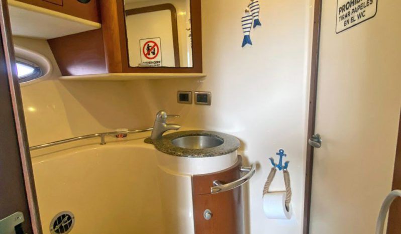 
								SEA RAY SUNDANCER 43 full									