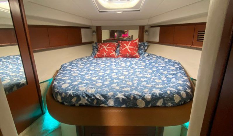 
								SEA RAY SUNDANCER 43 full									