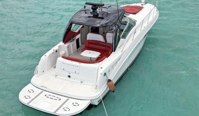 
								SEA RAY SUNDANCER 43 full									