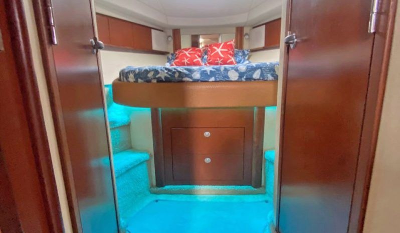 
								SEA RAY SUNDANCER 43 full									