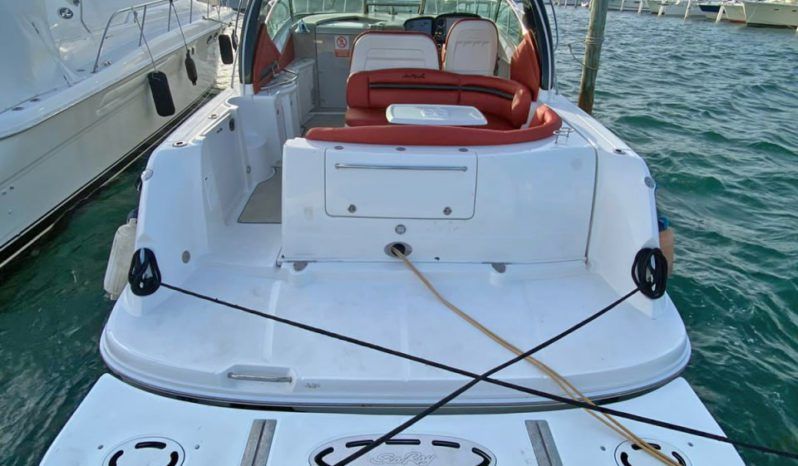 
								SEA RAY SUNDANCER 43 full									