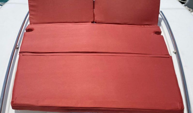 
								SEA RAY SUNDANCER 43 full									