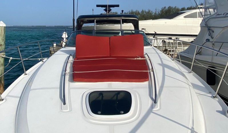 
								SEA RAY SUNDANCER 43 full									