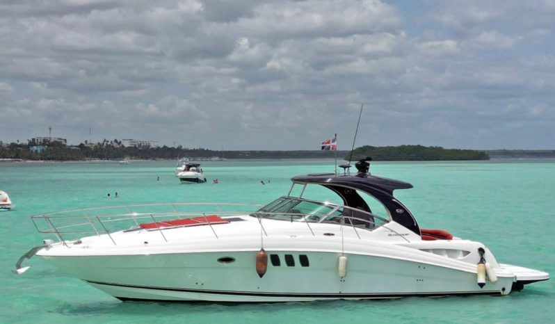 
								SEA RAY SUNDANCER 43 full									
