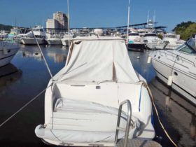 BLUE ARROW 47
