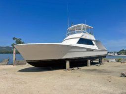 
										VIKING 48 full									