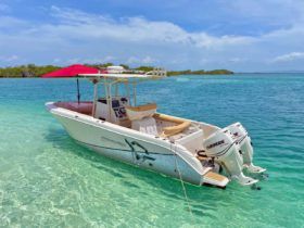 PROMARINE OPEN 27