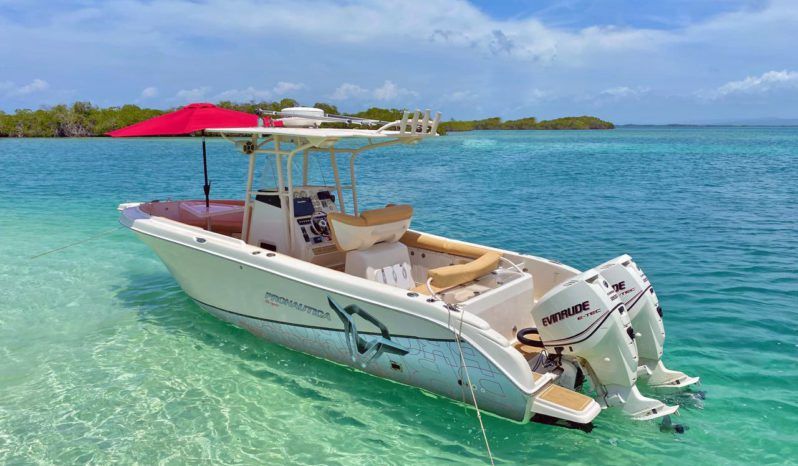 
								PROMARINE OPEN 27 full									