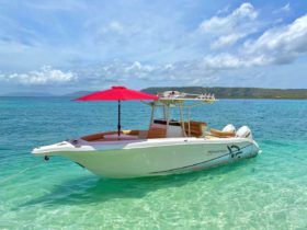 PROMARINE OPEN 27
