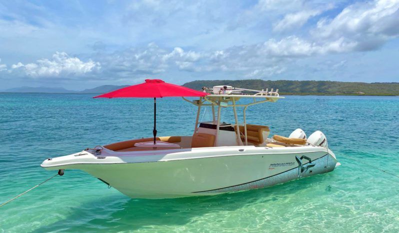 
								PROMARINE OPEN 27 full									