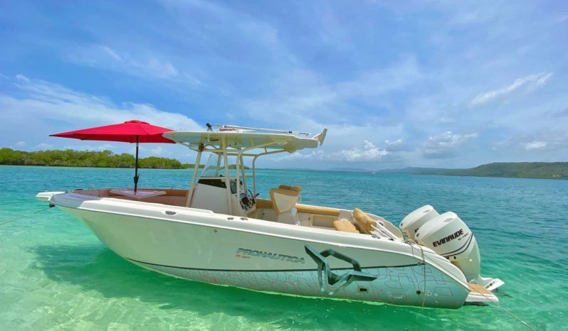 
								PROMARINE OPEN 27 full									