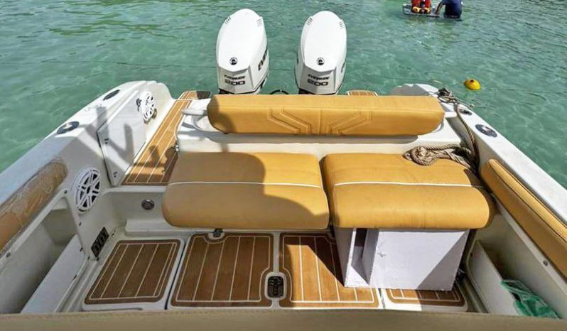 
								PROMARINE OPEN 27 full									