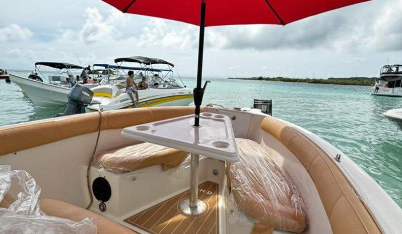 
								PROMARINE OPEN 27 full									