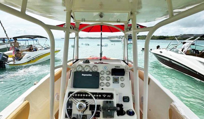 
								PROMARINE OPEN 27 full									