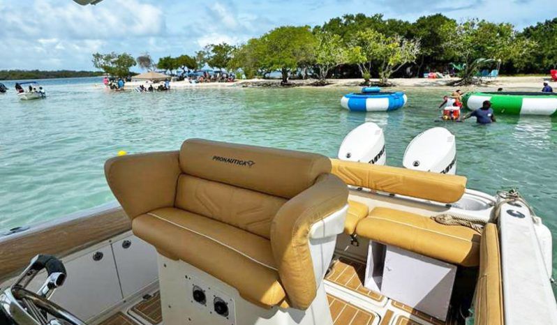 
								PROMARINE OPEN 27 full									