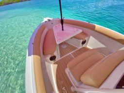 
										PROMARINE OPEN 27 full									