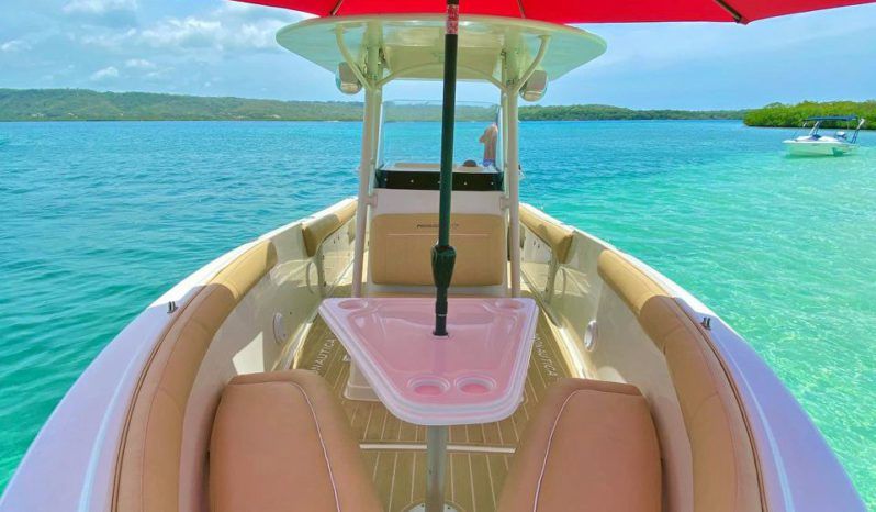 
								PROMARINE OPEN 27 full									