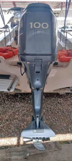 
										BOSTON WHALER MONTAUK 17.5 full									