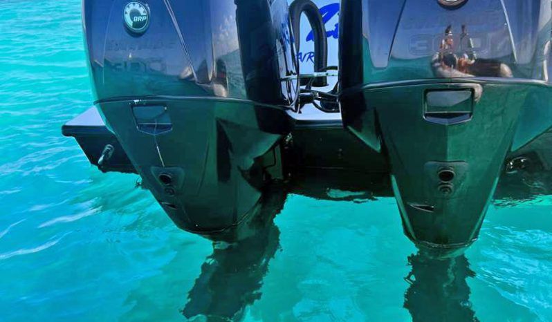 
								PAREJA MOTORES EVINRUDE E-TEC 300 HP full									