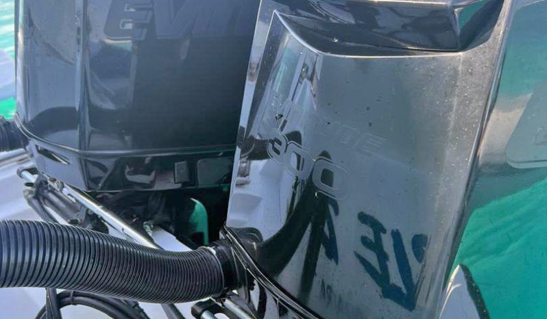 
								PAREJA MOTORES EVINRUDE E-TEC 300 HP full									