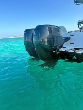 PAREJA MOTORES EVINRUDE E-TEC 300 HP