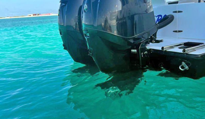 
								PAREJA MOTORES EVINRUDE E-TEC 300 HP full									