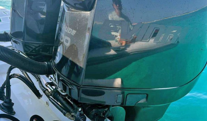 
								PAREJA MOTORES EVINRUDE E-TEC 300 HP full									