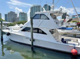 
										VIKING ENCLOSED BRIDGE 56 full									