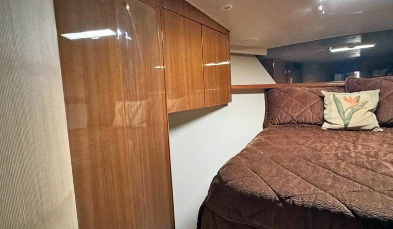 
								VIKING ENCLOSED BRIDGE 56 full									
