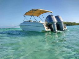 BLACK JACK SPORT 27 full