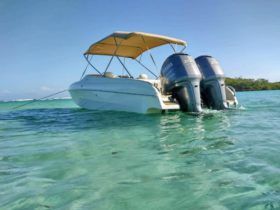 BLACK JACK SPORT 27