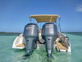BLACK JACK SPORT 27