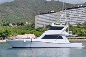 VIKING ENCLOSED BRIDGE 58