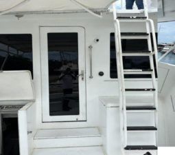 
										HATTERAS CONVERTIBLE 53 full									