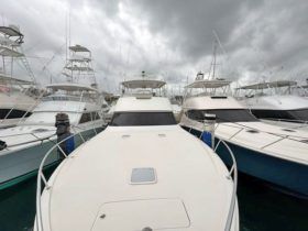 VIKING CONVERTIBLE 54