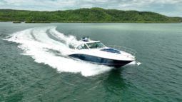 SEA RAY SUNDANCER 48