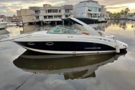 CHAPARRAL 29