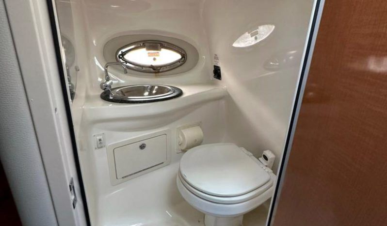 
								CHAPARRAL 29 full									