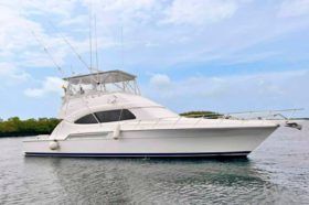 BERTRAM CONVERTIBLE 51
